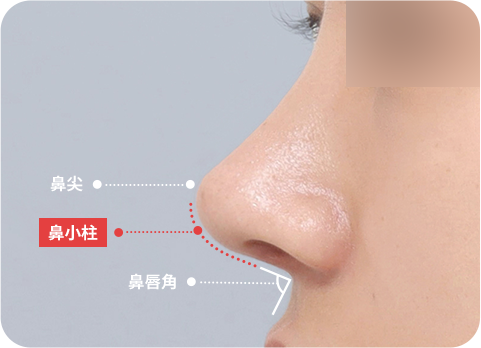 NaturGlow columella line diagram