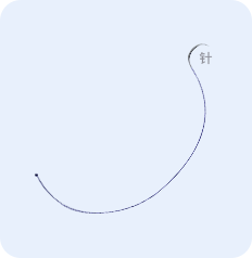 骨隧道示意图