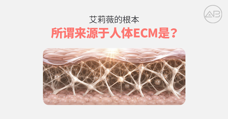 AB Plastic Surgery