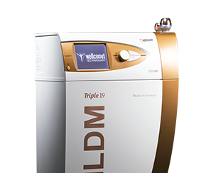 LDM