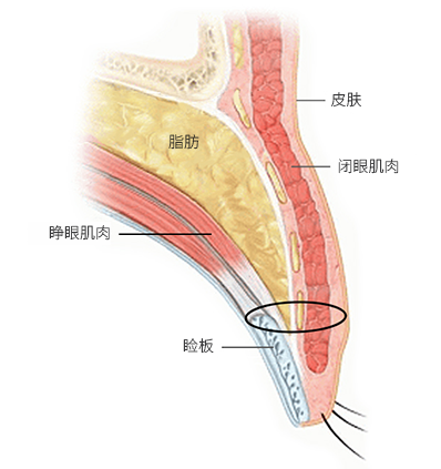 The Key to Beautiful Eyes