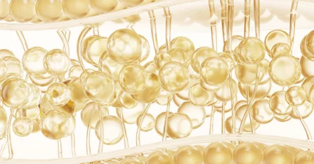 干细胞脂肪移植